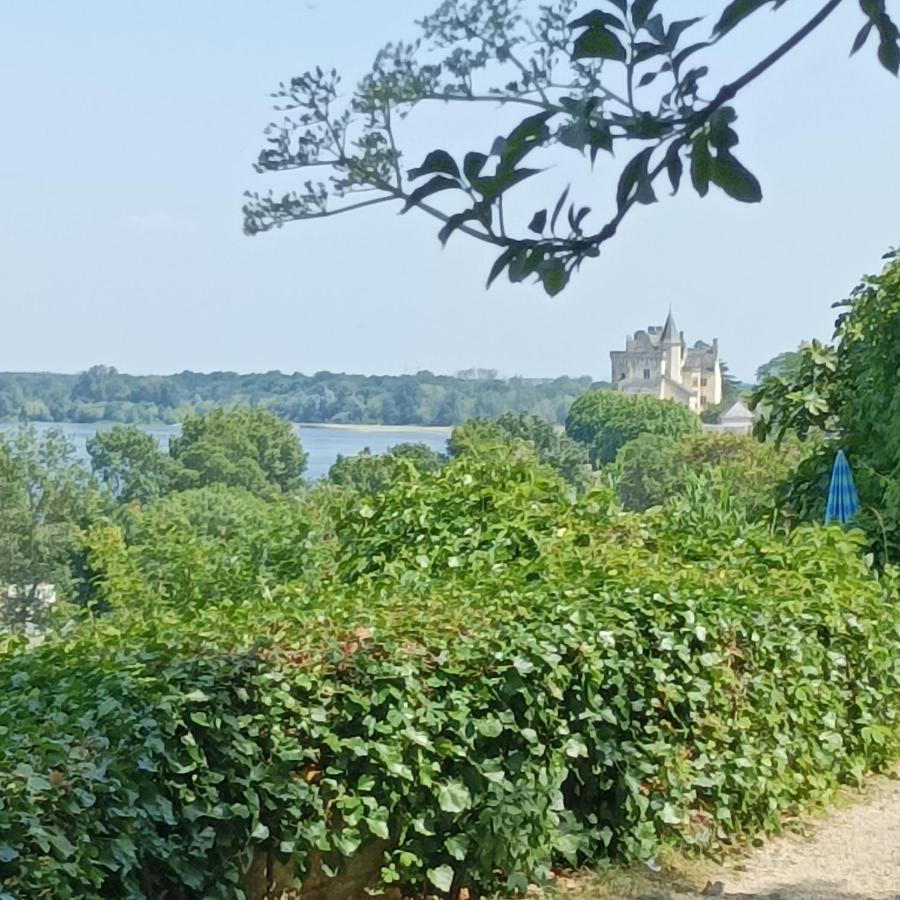 Gite Des Perreyeurs - Maison Troglodyte Avec Vue Sur Loire Montsoreau Kültér fotó